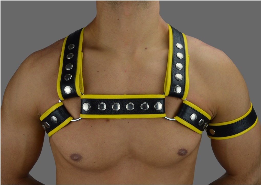 leather Chest Harness with Yellow piping