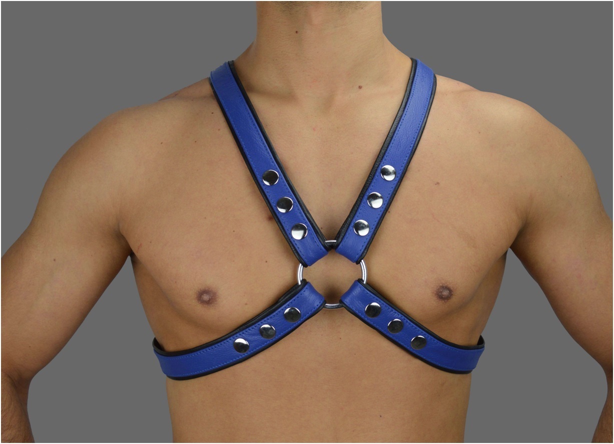 Leather chest Harness